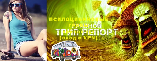 трава Гусиноозёрск